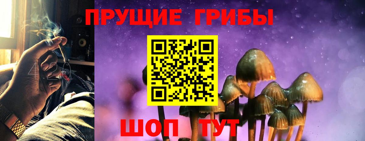 Славянск-на-Кубани  Галлюциногенные грибы Psilocybe  Вход с VPN  Псилоцибиновые грибы Psilocybine cubensis 