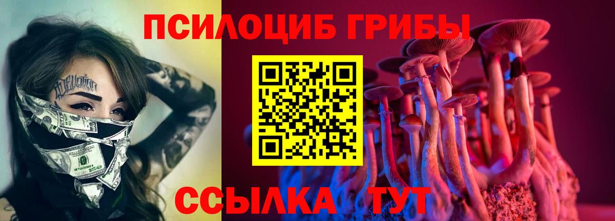 Псилоцибиновые грибы мухоморы Славянск-на-Кубани