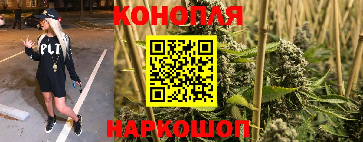 Бошки Шишки ГИДРОПОН Славянск-на-Кубани